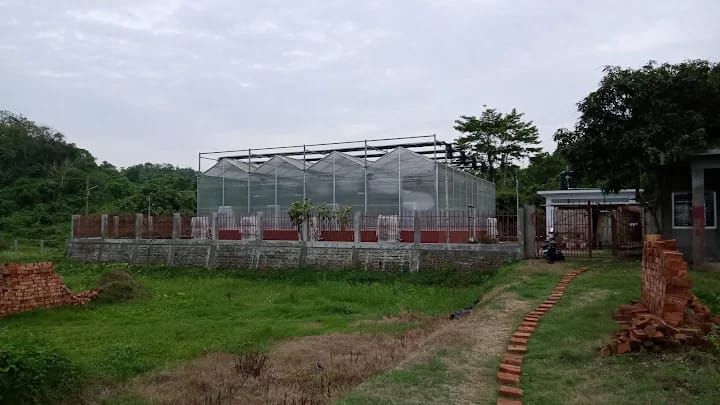 Greenhouse